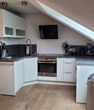 Apartment Schwarzwaldmaedel Friedenweiler 外观 照片