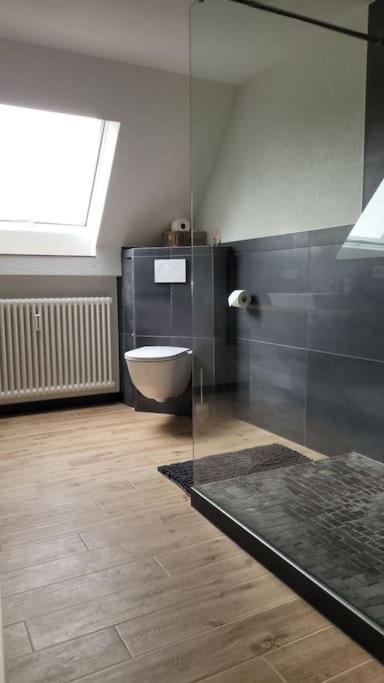 Apartment Schwarzwaldmaedel Friedenweiler 外观 照片