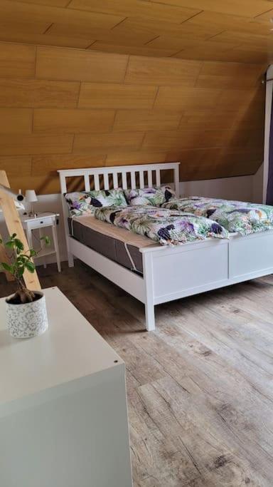 Apartment Schwarzwaldmaedel Friedenweiler 外观 照片
