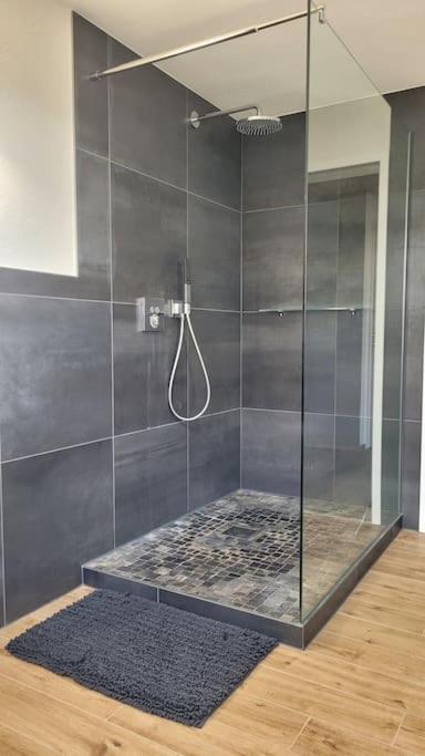 Apartment Schwarzwaldmaedel Friedenweiler 外观 照片
