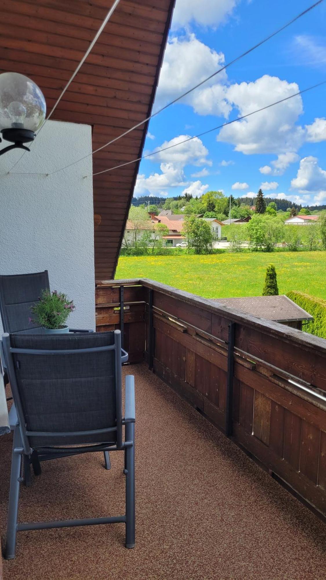 Apartment Schwarzwaldmaedel Friedenweiler 外观 照片